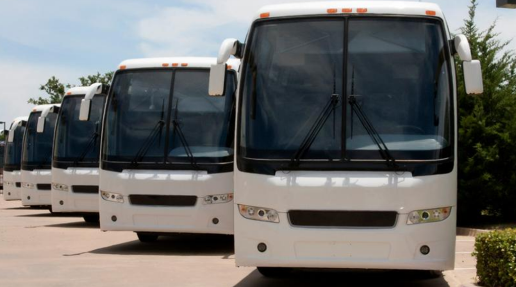 A fleet of white buses parked in a row.