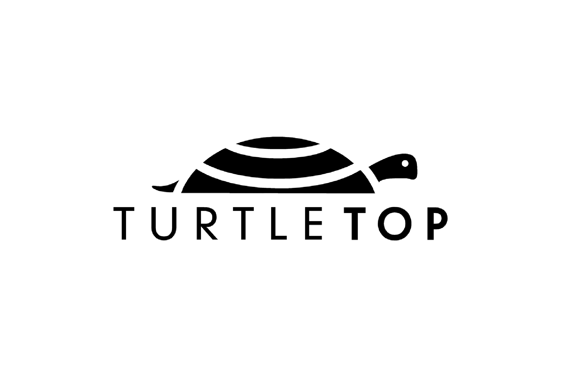 Turtle Top logo