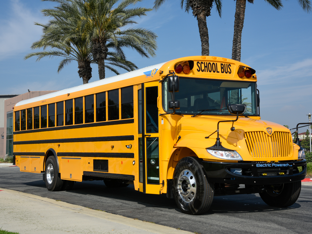 School bus in a parking lot and palm trees - front facing